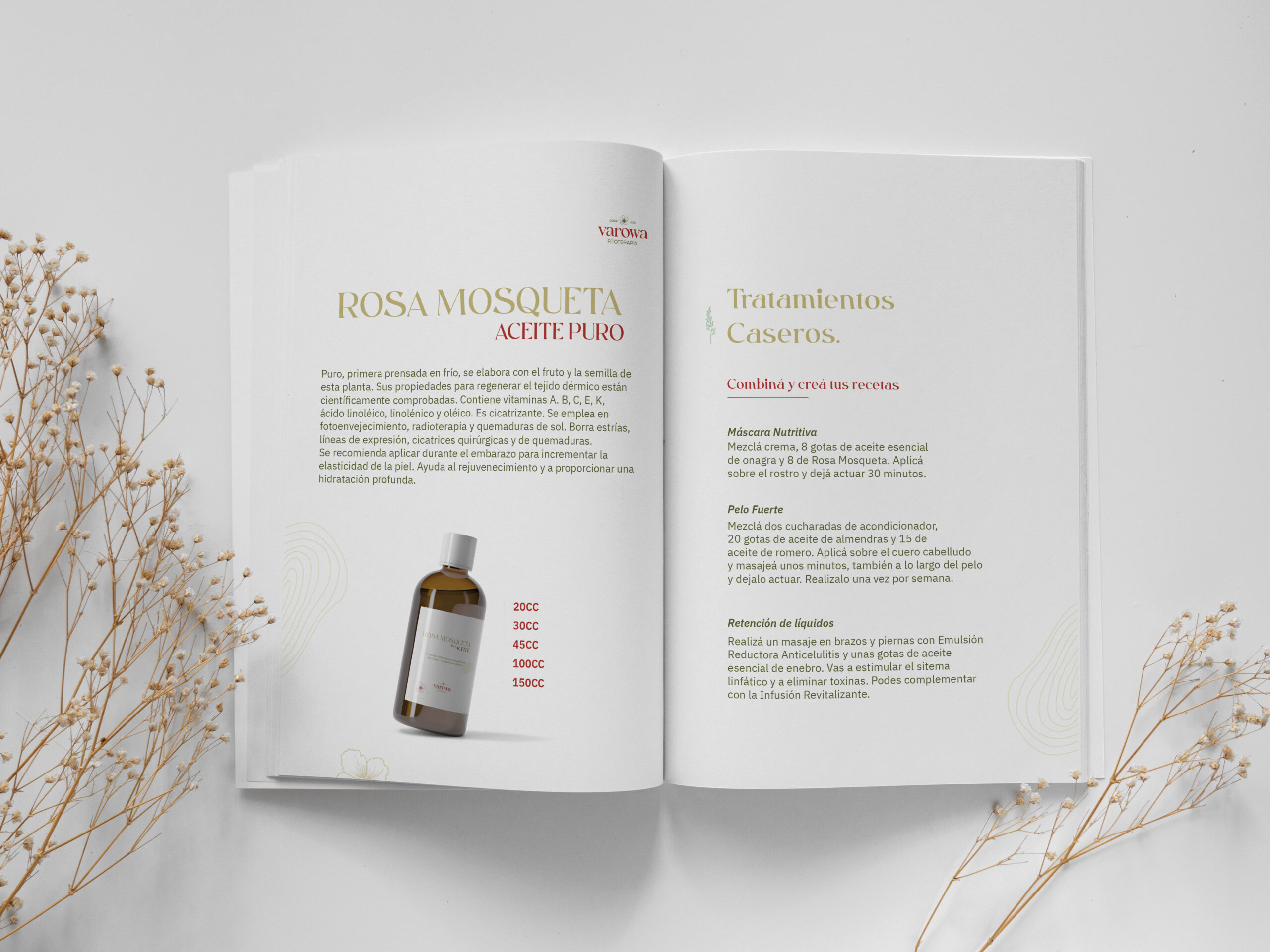Catalogo 1